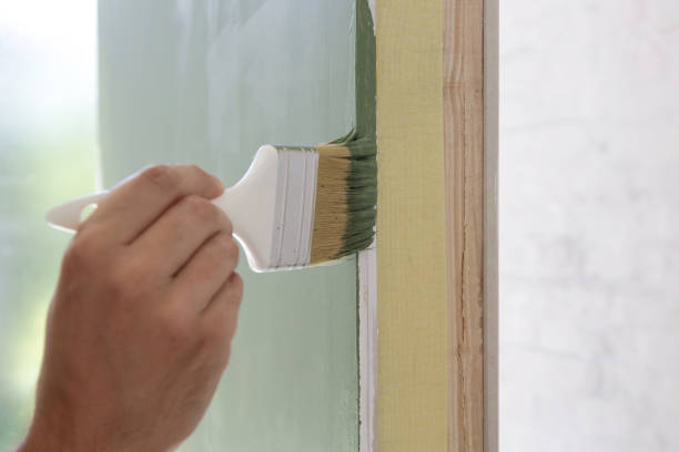 Reliable Chicago Ridge, IL Mold Removal Solutions