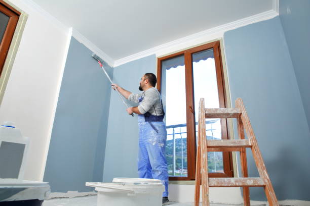 Best Mold Remediation for Rental Properties  in Chicago Ridge, IL