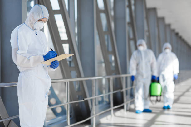 Best Residential Mold Inspection & Testing  in Chicago Ridge, IL