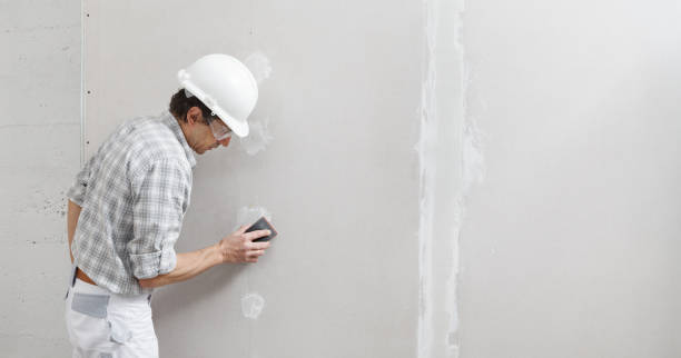Best Biohazard Mold Removal  in Chicago Ridge, IL