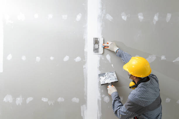 Best Environmental Consulting for Mold Prevention  in Chicago Ridge, IL