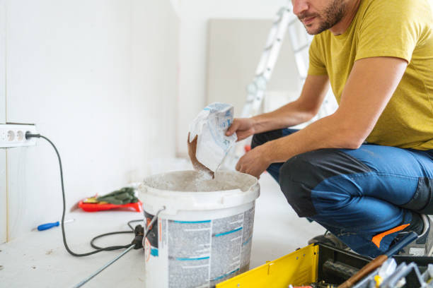 Best Mold Remediation for Vacation Homes  in Chicago Ridge, IL