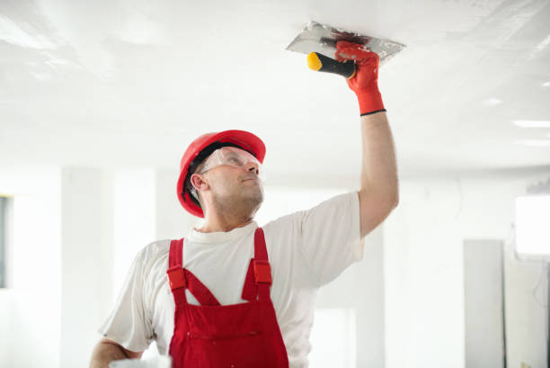 Mold Remediation for Vacation Homes in Chicago Ridge, IL
