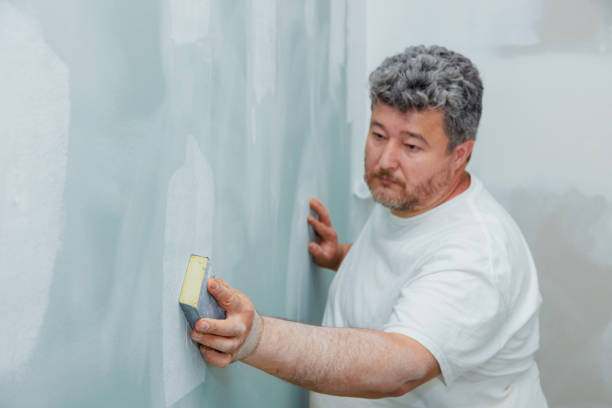 Best Commercial Mold Inspection  in Chicago Ridge, IL