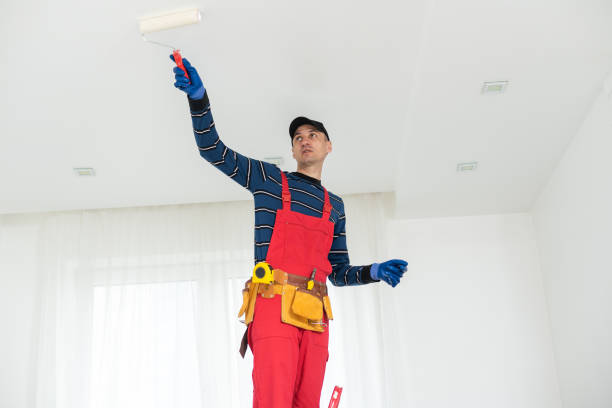 Best Post-Construction Mold Inspection  in Chicago Ridge, IL