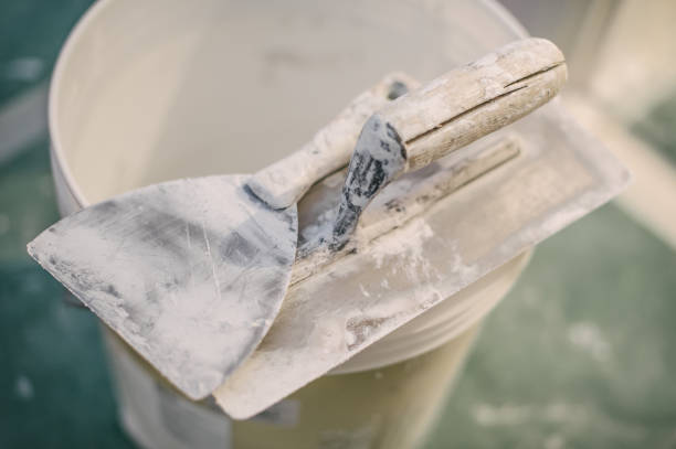 Best Crawl Space Mold Remediation  in Chicago Ridge, IL