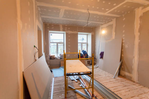 Best Forensic Mold Investigation  in Chicago Ridge, IL